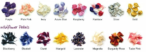 delphinium and wild flower petals delphinium and wild flower petals for confetti