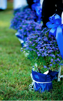 Blue wedding flowers blue wedding flowers