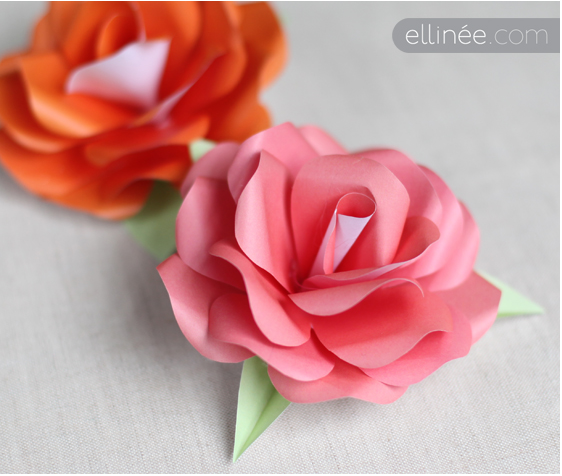Pink and red paper roses pink and red paper roses