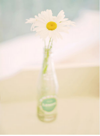 daisies in glass bottles flowers at Australian wedding