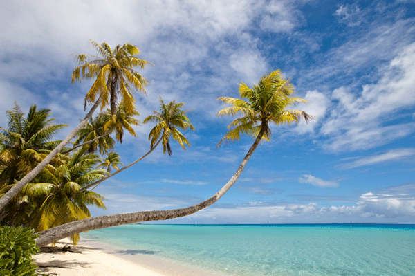 How to Choose a Destination for Your Destination Wedding