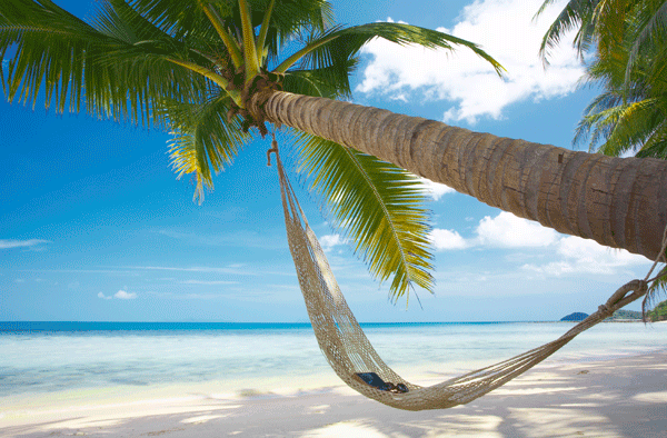 Top 3 Must Haves For Your Honeymoon!