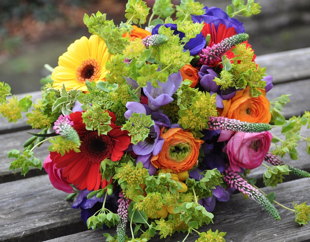 technicolour wedding